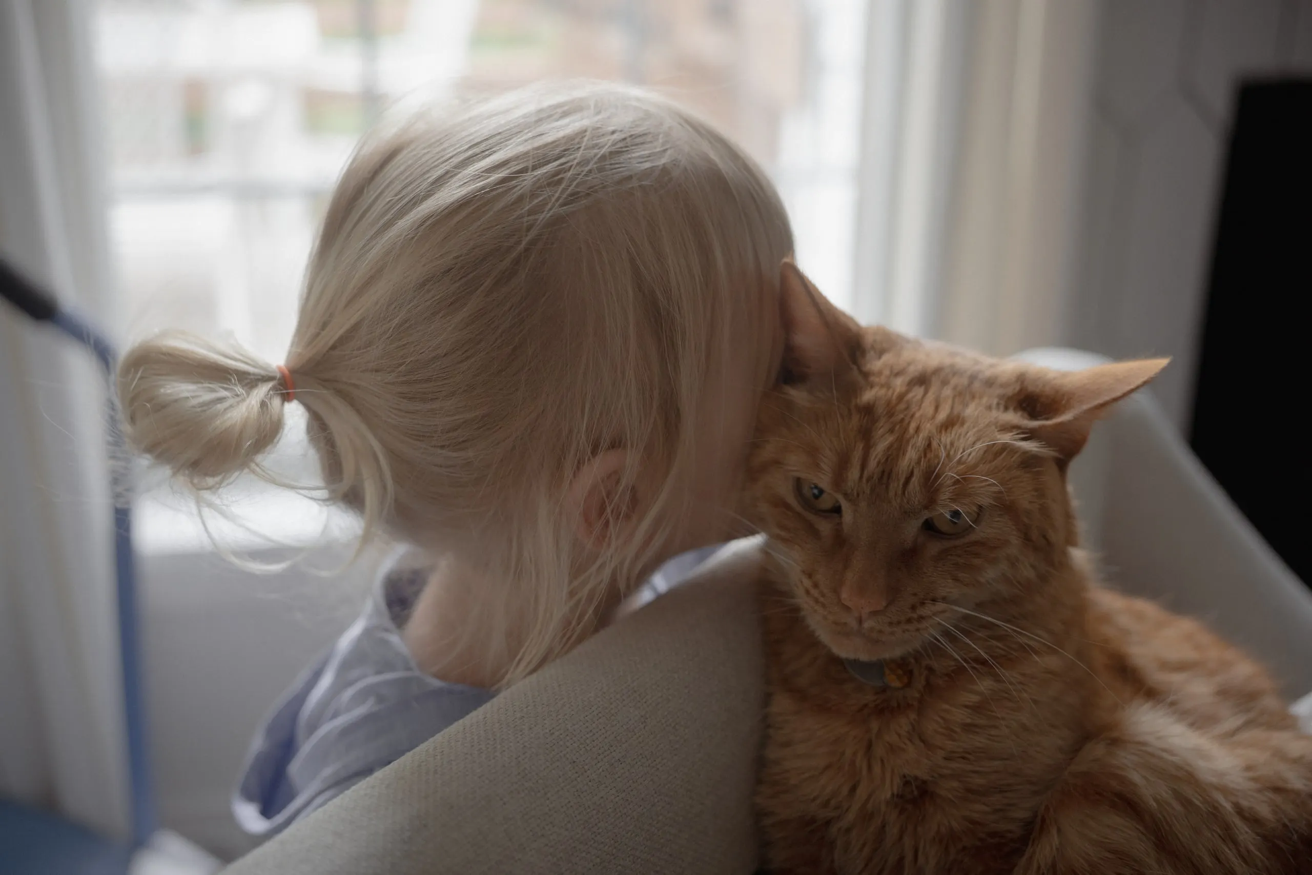 Child and Cat